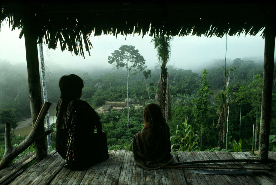 The village of Simpatia in Brazil's Acre state.

Mist rises from the rainforest as two Ashaninka children look out across the green canopy of their hilltop home. 

The Ashaninka are one of South America’s largest tribes. Their homeland covers a vast region, from the Upper Juruá river in Brazil to the watersheds of the Peruvian Andes. 

Recently, the Simpatia Ashaninka have reported unusual encounters with dozens of uncontacted Indians close to their homes. It is believed that these uncontacted tribes have fled into Brazil from Peru to escape the waves of illegal loggers invading their territory, a situation with which the Ashaninka are familiar.

For over a century,colonists, rubber tappers, loggers, oil companies and Maoist guerillas have invaded their lands. "Their story of oppression and land theft is echoed in the lives of tribal peoples across the world," says Stephen Corry, former Director of Survival International, the global movement for tribal peoples' rights. 