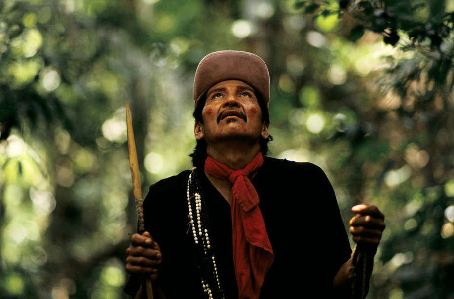 Chasse au gibier dans la forêt de l'Etat d'Acre, au Brésil.


Les communautés asháninka éloignées les unes des autres sont unies par un mode de vie, une langue et des croyances communs.

Comme beaucoup de tribus amazoniennes, leurs vies sont profondément liées à la forêt. Les hommes asháninka passent la plupart de leur temps à chasser le tapir, le sanglier ou le singe dans la forêt. Le gibier complète l'igname, la patate douce, le piment, la citrouille, la banane ou l'ananas qui sont cultivés par les femmes dans les jardins.

Les Asháninka ouvrent périodiquement de nouveaux jardins pour permettre la régénération de la forêt.

'Cette agriculture est bonne pour la forêt parce qu'elle est comme la forêt' dit un Asháninka. 'Nous vivons dans la forêt et nous la respectons.'