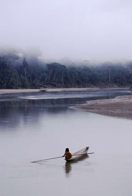 A lone Ashaninka crosses the river in a dug out boat, Acre state, Brazil.


In 2011, 15 Ashaninka communities from Peru and Brazil teamed up to investigate the illegal activities of loggers on the Brazilian side of the border.

The five-day trip uncovered widespread evidence that loggers were active in the area, with trees marked for felling in Brazilian Ashaninka territory, which is protected by law. 

The expedition’s findings were recorded on GPS systems and presented to Brazilian authorities. The team is calling for a more efficient monitoring system, to be complemented by the full participation of local Indians.
