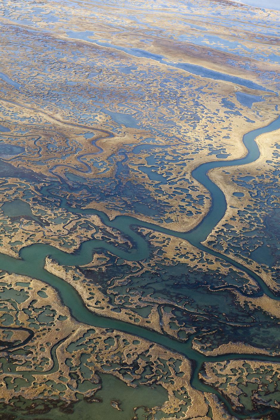 El Ártico está cambiando rápidamente. A medida que las temperaturas suben y el permafrost de la tundra se descongela, libera a la atmósfera dióxido de carbono y metano (gases de efecto invernadero).

En primavera el hielo se derrite antes y no se vuelve a helar hasta bien entrado el otoño, por lo que los pastores se ven obligados a cambiar patrones migratorios que tienen siglos de antigüedad, ya que los renos tienen dificultades para caminar por una tundra sin nieve. El aumento de las temperaturas también afecta a la vegetación de la tundra, la única fuente de alimento para los renos.

Los científicos temen que la liberación de miles de millones de toneladas de gases a la atmósfera por el permafrost podría ser un peligroso punto de no retorno para el sistema climático mundial.
