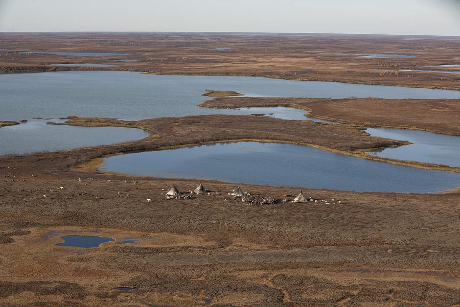 La península de Yamal: una extensión de turberas que va desde el norte de Siberia hasta el mar de Kara, muy por encima del Círculo Polar Ártico. Al este están las aguas poco profundas del golfo de Ob; al oeste, la bahía de Baydaratskaya, cubierta de hielo durante la mayor parte del año.

En la lengua de los indígenas nénets, Yamal significa _el fin del mundo_; es un lugar remoto, azotado por el viento, de permafrost, ríos serpenteantes y arbustos enanos, y desde hace más de mil años es el hogar de los pastores de renos del pueblo nénets.
