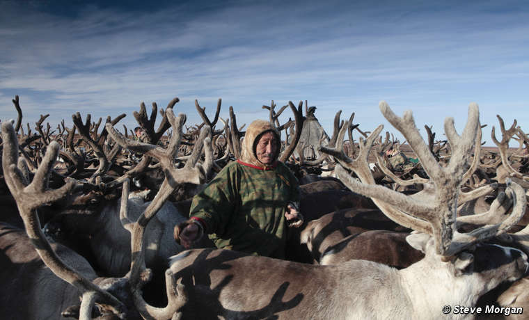 Pastor de renos. Península de Yamal, Rusia.