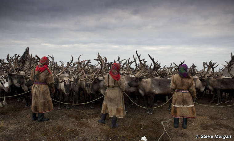 Pastores de renos nénets, península de Yamal, Rusia.