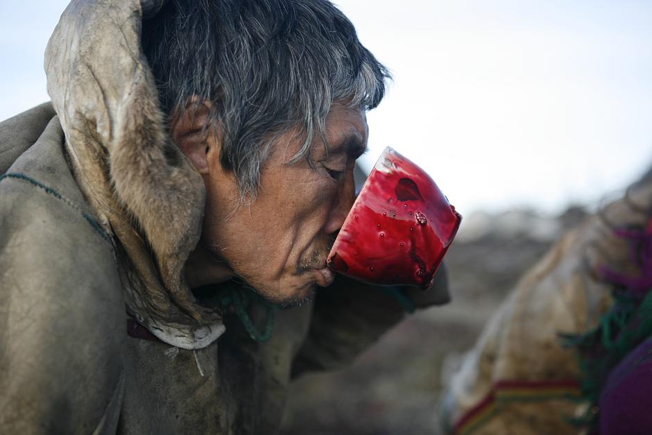 La carne de reno es la parte más importante de la dieta nénets.

Se come cruda, congelada o hervida, junto con la sangre de un reno recién sacrificado, que es rica en vitaminas.

El contenido graso de la leche de reno es 22%, seis veces más que el de la leche de vaca.
