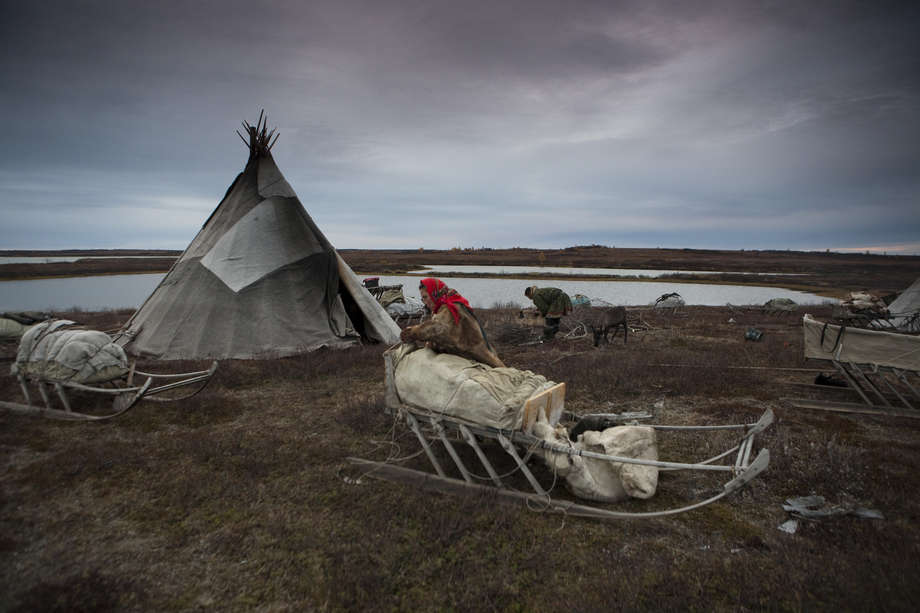 Under a leaden grey sky, a Nenets family is on the move: women pack the sledges used to carry their belongings. 

At night, the sledges are arranged in half-circles around the _chum_. 
