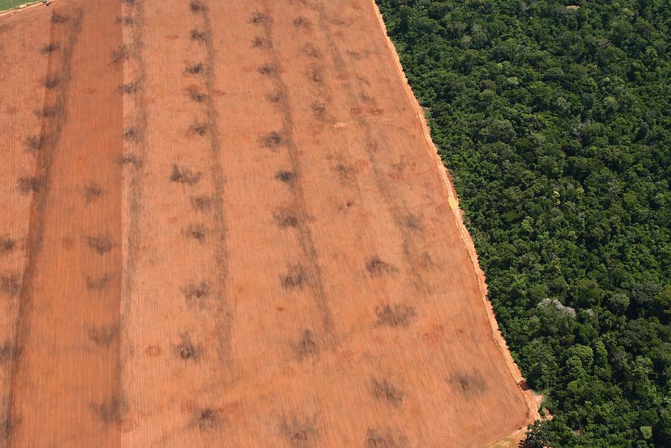 Vastas extensiones de tierra en la Amazonia, que una vez estuvieron pobladas por centenares de pueblos indígenas no contactados, están abiertas a plantaciones a gran escala. En Brasil la bancada ruralista anti-indígena en el Congreso alienta todo esto, y está presionando para debilitar drásticamente los derechos territoriales indígenas duramente conquistados.