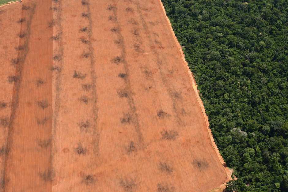 Riesige Landflächen im Amazonasgebiet – einst die Heimat Hunderter unkontaktierter Völker – wurde für großflächige Plantagen erschlossen. In Brasilien wird dies durch eine indigenenfeindliche Lobbygruppe des Kongresses gefördert, welche alles daran setzt, die hart erkämpften Landrechte indigener Völker zu schwächen.