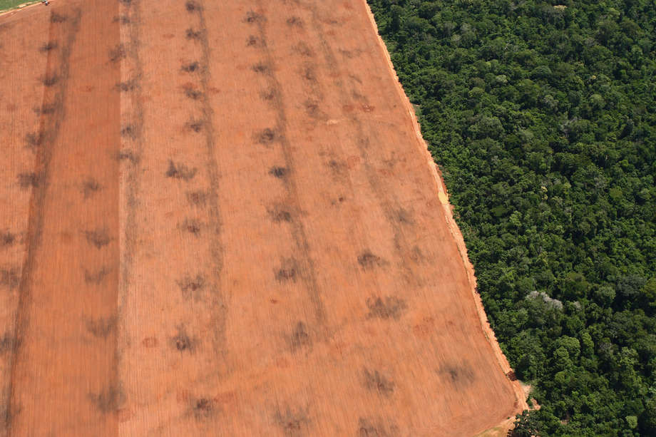 Grandes extensões de terra na Amazônia - que já foram lar de centenas de povos indígenas isoladas - foram abertas para agricultura em grande escala. No Brasil, isso é incentivado pelos ruralistas e seus aliados do Congresso.