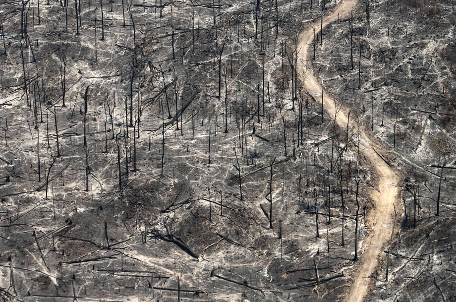 O desmatamento mata indígenas isolados, destruindo suas terras. Eles dependem totalmente dela para sua sobrevivência. A floresta do Chaco no Paraguai - o último refúgio dos isolados Ayoreo - está sendo destruída em uma das maiores taxas de desmatamento do mundo.