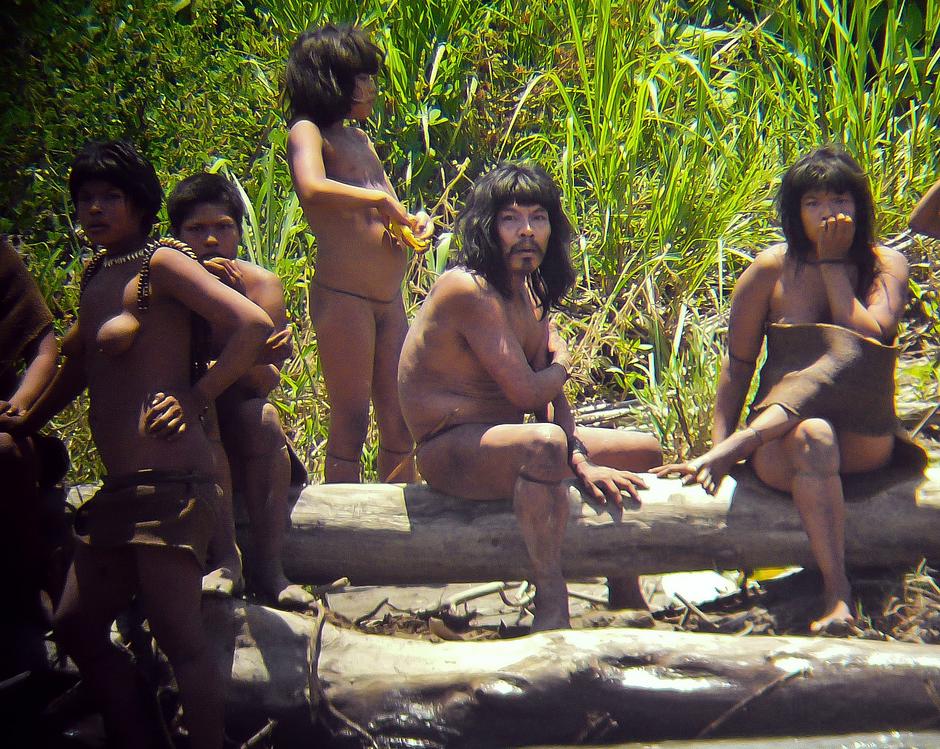 The Manú park is also home to uncontacted tribes such as the nomadic Mashco-Piro people.

The Mashco-Piro are almost certainly descendants of the original occupants of the Upper Manu.  

Decimated by Fitzcarrald's attacks, many tribes were forced to abandon agriculture and driven into isolation.
