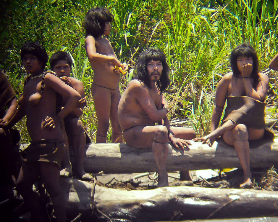 The Manú park is also home to uncontacted tribes such as the nomadic Mashco-Piro people.

The Mashco-Piro are almost certainly descendants of the original occupants of the Upper Manu.  

Decimated by Fitzcarrald's attacks, many tribes were forced to abandon agriculture and driven into isolation.
