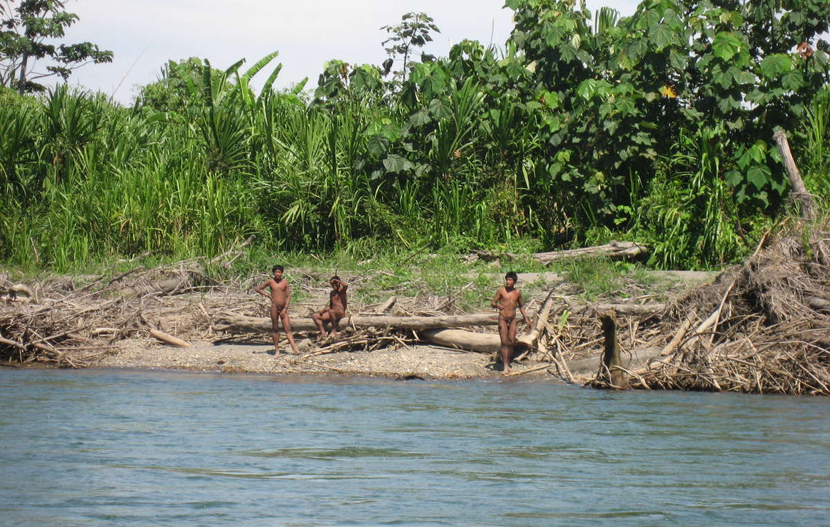 Muitos culpam a extração ilegal de madeira pelo deslocamento de índios no Parque Nacional de Manú