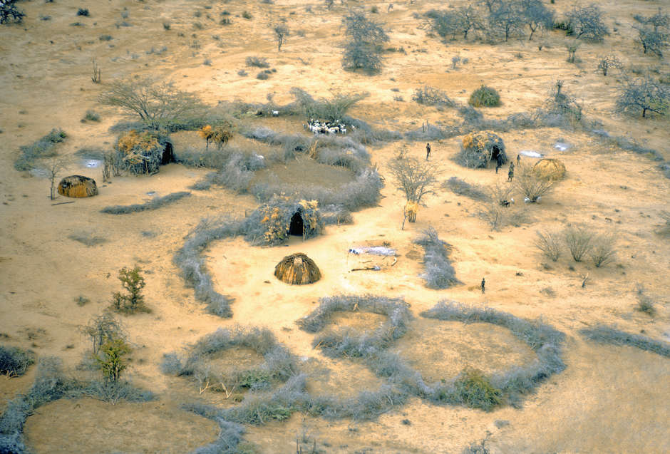 The Maasai live in _bomas_: several houses arranged in a circular fashion. 

The fence around the _boma_ is made from acacia thorns, which prevent lions from attacking the cattle.
