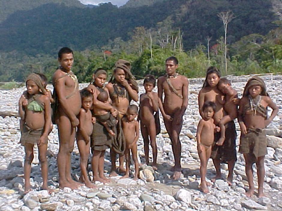 The Nanti are hunters who also grow crops in their gardens.

During the rainforest's dry season, when water levels are low and white beaches form in the river bends, families camp on the river banks. They take advantage of the low water levels to fish, and unearth buried turtle eggs.  Fish are caught using barbasco, a natural fish poison.

Men hunt for game such as tapir, peccary, monkey and deer, walking as much as 15 miles in a day, while women gather wild fruits, palm hearts and beetle larvae.