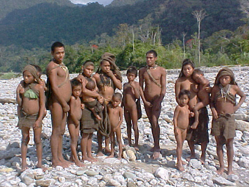 The Nanti are hunters who also grow crops in their gardens.

During the rainforest's dry season, when water levels are low and white beaches form in the river bends, families camp on the river banks. They take advantage of the low water levels to fish, and unearth buried turtle eggs.  Fish are caught using barbasco, a natural fish poison.

Men hunt for game such as tapir, peccary, monkey and deer, walking as much as 15 miles in a day, while women gather wild fruits, palm hearts and beetle larvae.