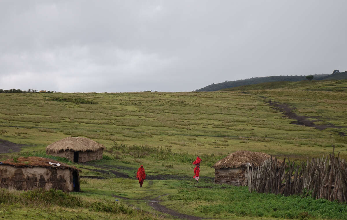 Zwischen 100.000 und 200.000 Massai in Tansania drohen Vertreibungen aus Gebieten rund um den Serengeti-Nationalpark, um Platz für Luxustourismus, Trophäenjagd und „Naturschutz“ zu schaffen.
