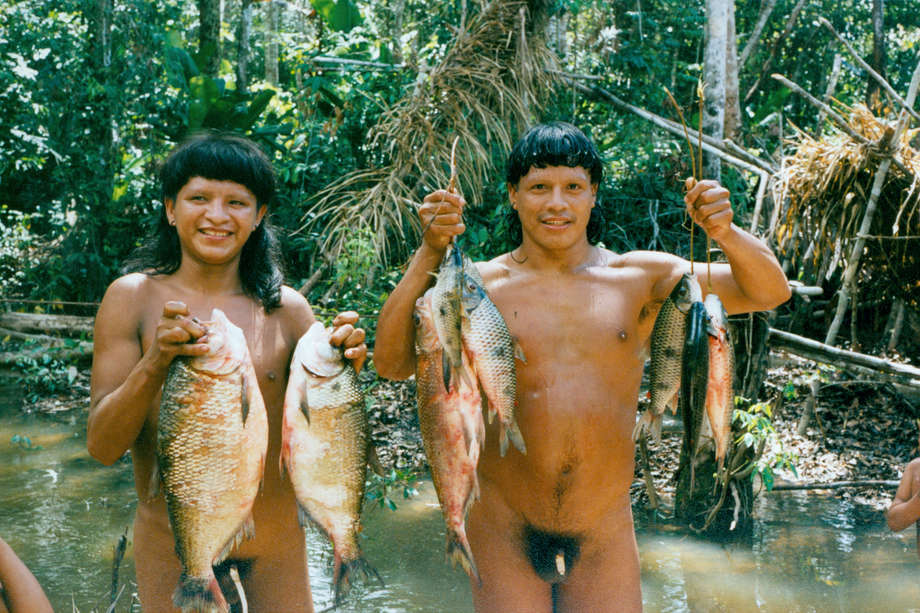 The Enawene Nawe are one of very few tribes in the world who do not eat red meat.

They are expert fishermen. In the dry season, they catch fish with a poison called _timbó_, made from the juice of a woody vine.

Bundles of vines are pounded in the water, so releasing the poison and asphyxiating the fish, which then rise to the surface. 

