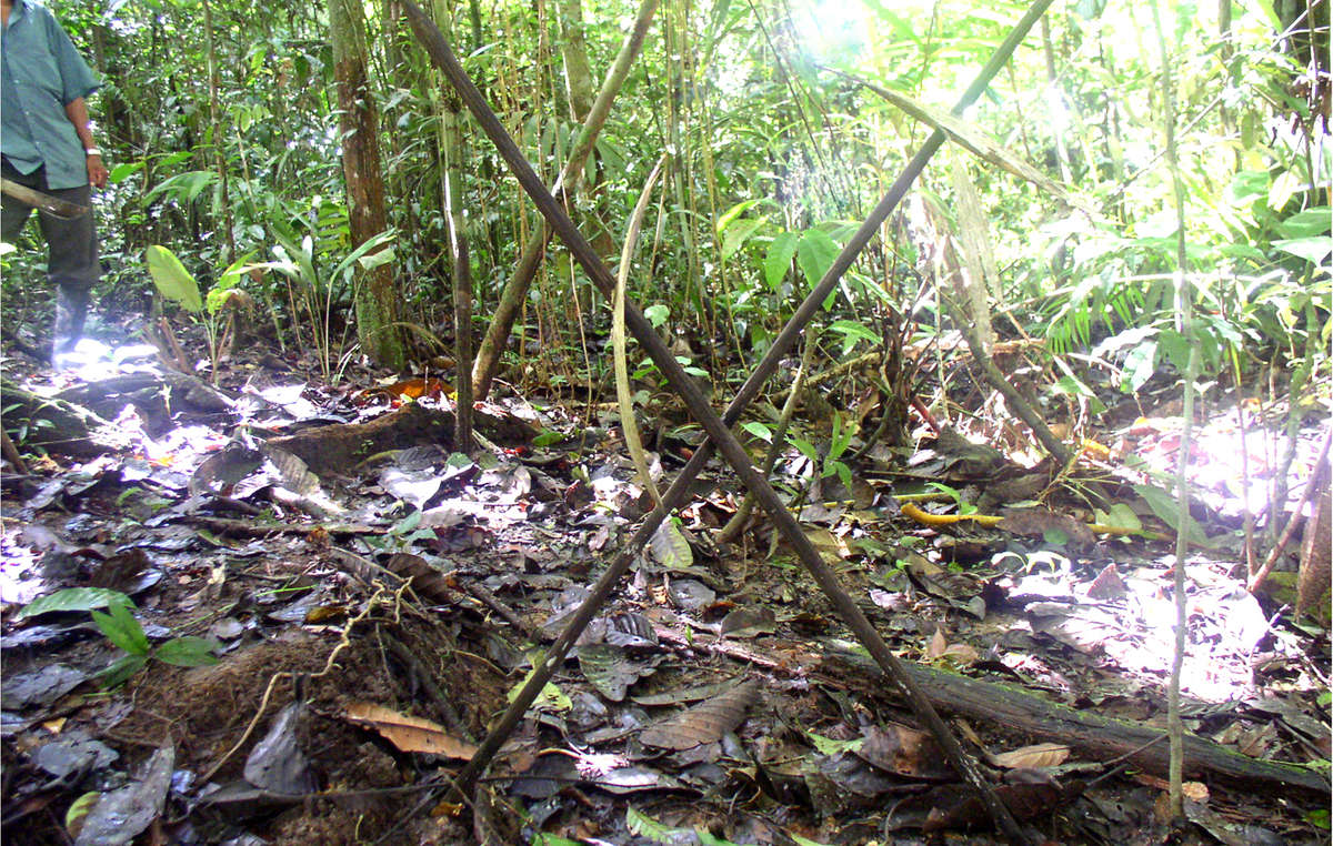 Crossed spears left by an uncontacted tribe in the region where Barrett and Repsol-YPF are working.