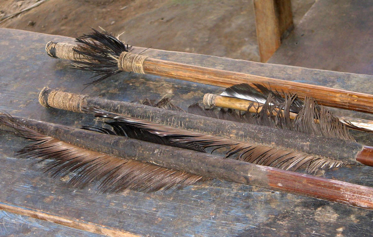 Arrows that once belonged to uncontacted Indians in south-east Peru.