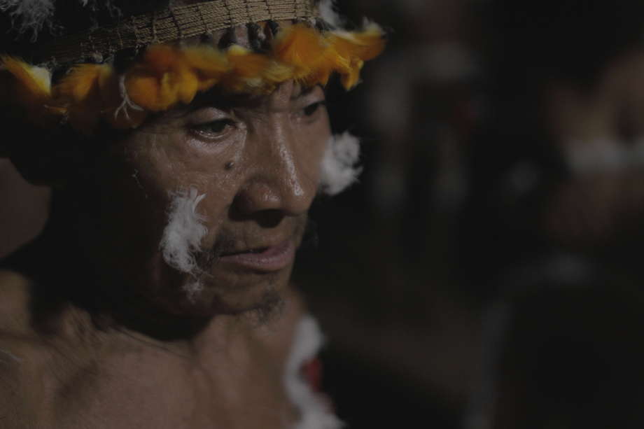 Un juge fédéral brésilien a récemment employé le terme de génocide pour qualifier la situation des Awá.

Ils sont la tribu la plus menacée au monde.
