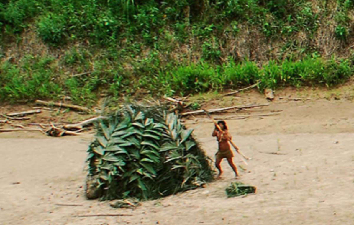 According to Daniel Saba, this photo proves 'nothing' of the uncontacted tribes' existence.