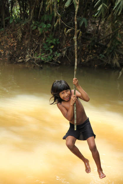 Inmitten des Amazonas-Regenwaldes schwingt "Kleiner Schmetterling" an einer Liane über den Fluss. 

Das Mädchen gehört zum Volk der Awá, das bedrohteste indigene Volk der Welt. Seit Jahrhunderten leben die Awá in Symbiose mit dem Regenwald. Sie kamen erstmals 1973 mit Außenstehenden in regelmäßigen Kontakt, nachdem die brasilianische Behörde FUNAI sie kontaktierte. 

Heute leben die rund 450 Awá umgeben von Holzfällern, Viehzüchtern und Siedlern, die ungehindert in das Gebiet vordringen und sogar töten. Ganze Awá-Familien wurden ermordet. Jahrhundertealte Bäume wurden gefällt und verbrannt. Ein Richter in Brasilien beschrieb die Lage der Awá als "echten Genozid".  

Das Dorf, in dem Kleiner Schmetterling lebt, ist 30 Minuten zu Fuß von der "Grenze" entfernt, an der Siedler den Wald der Awá rund um die Uhr niederbrennen.

Nach einer Kampagne von Survival International wiesen die brasilianische Behörden endlich die illegalen Eindringlinge aus dem Awá-Schutzgebiet auszuweisen. "Dies ist ein bedeutsames und möglicherweise lebensrettendes Ereignis für die Awá", erklärte Stephen Corry von Survival. 

Die Zukunft von Kleiner Schmetterling hängt vom Erfolg der neuen Schutzmaßnahmen ab - und von einer langfristigen Lösung, um die Rückkehr der Holzfäller und Siedler zu verhindern.