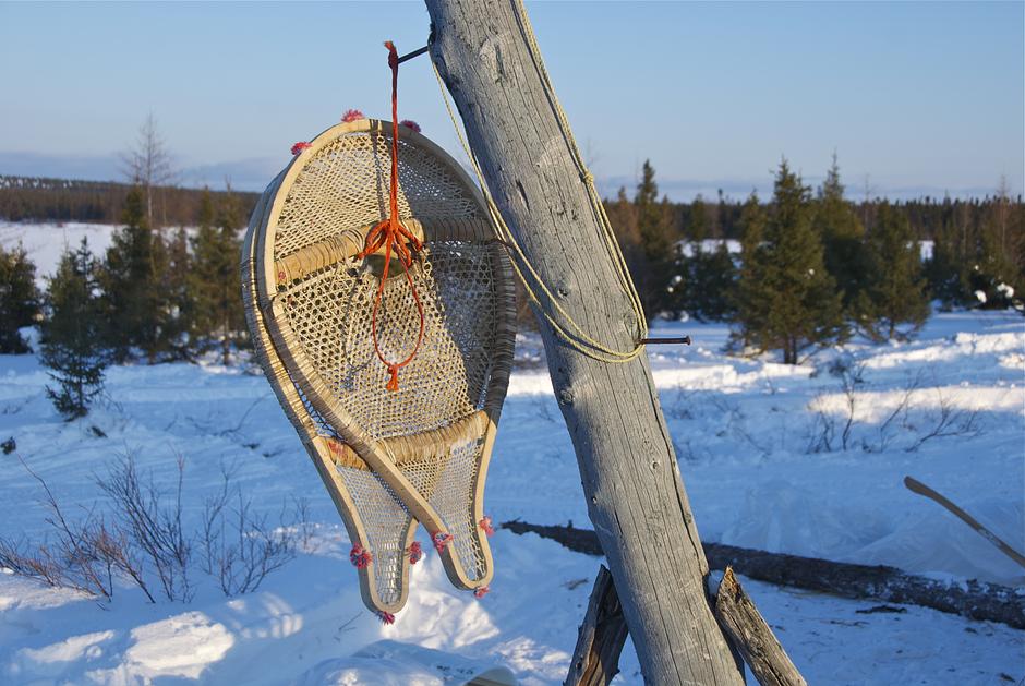 For six hours a day the walkers snow-shoed across frozen lakes and spruce-lined river valleys, where grey wolves follow migrating caribou, and up onto the rocky tundra of the high _Barren Grounds_, home to the _Mushuau_ Innu.