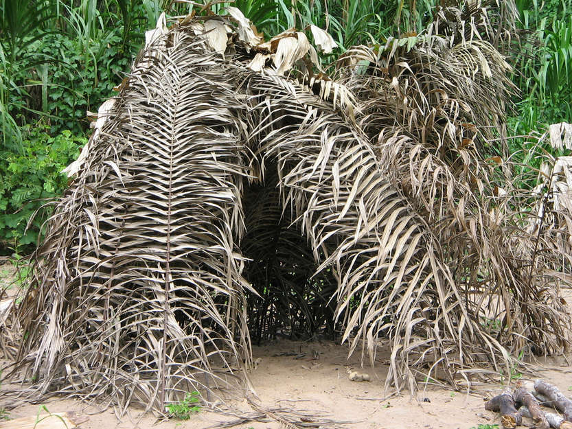 Mascho-Piro temporary homes are constructed from palm fronds. 

Little is known about uncontacted tribes, but for the fact that they make it clear to the outside world that they wish to be left alone.

At times they react aggressively, as a way of defending their territory, or leave signs in the forest warning outsiders to stay away.
