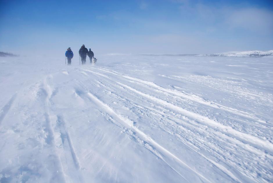 Three Innu walkers approach the high barren country near Border Beacon, Labrador, March 2012.

_Changing the balance of life back to country-based activities would address both the primary causes of the crisis and improve the health and well-being of the Innu_, says Jules Pretty, Professor of Environment and Society at the University of Essex.

_Improving indigenous peoples’ health cannot be achieved through medications alone_, says Stephen Corry. _Action is urgently needed to enable the Innu and other indigenous peoples to reconnect with their lands and gain control over their futures_. 

