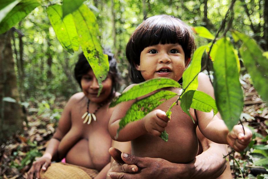 This Awá mother and her child belong to the most threatened tribe on Earth.

The Awá depend on the rainforest for survival, yet they are suffering from increasing invasions of their land by loggers, ranchers and settlers.   Over 30% of one of the Awá's territories has already been destroyed.

For her, as for other tribal mothers, the solution to her problems lies in the recognition of her fundamental human rights: to self-determination and to the protection of her homeland.

Only then can she and her child be free to live on their own lands, in the way that they choose - free from the threats of oppression, violence and eviction. 

_If you destroy the forest, you destroy us too_, she told a Survival International researcher.

