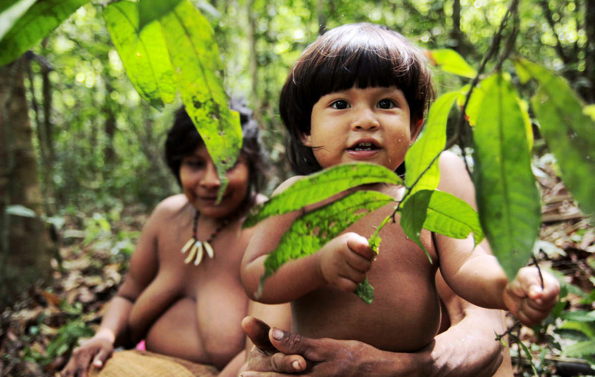 Les Awá dépendent étroitement de leur forêt pour survivre.