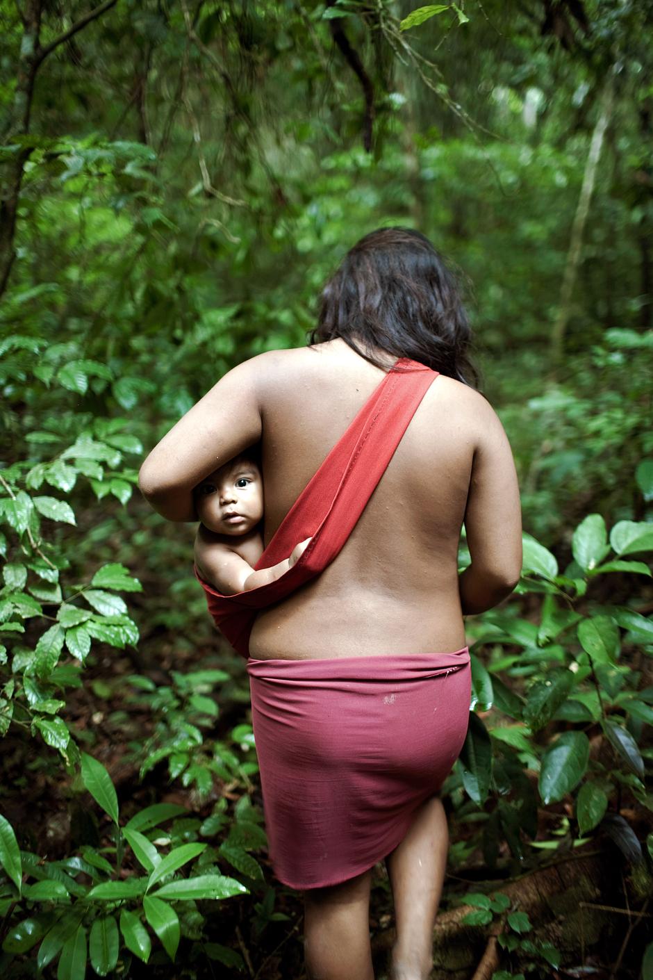 Las mujeres awás también extraen la resina de los árboles de caoba brasileña (árbol de la macaranduba) para alumbrar sus hogares por la noche.

En la actualidad su selva está siendo talada ilegalmente y los awás se han convertido en la tribu más amenazada de la Tierra: viven bajo la amenaza de la extinción debido a los violentos ataques y la usurpación de su tierra.


