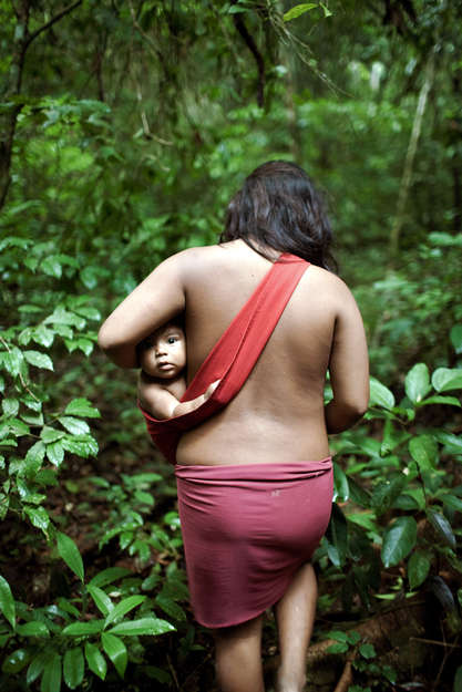 Awá women also extract the resin of the Brazilian redwood tree (maçaranduba tree) to light houses at night. 

Today, their forests are being illegally logged and the Awá have become the Earth's most threatened tribe; they live under the threat of extinction due to violent attacks and the theft of their land.


