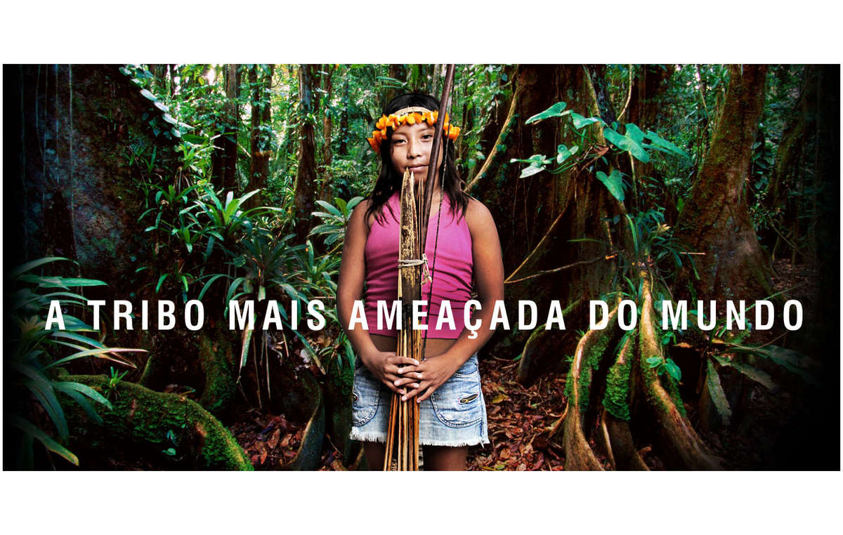 O Brasil tem três meses para expulsar madeireiros ilegais da terra dos Awá.