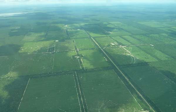 Una fotografia aerea mostra la devastazione che il taglio del legname ha portato nella terra degli Ayoreo.