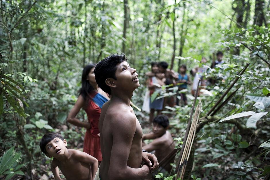 Die Awá sind eines der letzten nomadischen Jäger-und-Sammler-Völker in Brasilien.

Seit Generationen leben sie im Amazonasregenwald. Mit ihren fast 2 Meter langen Bögen jagen sie Wildschweine, Tapire und Affen. Zudem sammeln sie Waldprodukte wie Babassu-Palmherzen, Açaí-Beeren und Honig.

Doch in den letzten vier Jahrzehnten mussten die Awá die Zerstörung ihres Heimatlandes und den Mord an ihren Verwandten durch Außenstehende miterleben. In den letzten vier Jahrzehnten wurden in einem ihrer Gebiete 34 Prozent des Waldes gerodet, um Platz für Rinderfarmen zu machen.

Nach einer Kampagne von Survival gingen die brasilianischen Behörden gegen Eindringlinge und Holzfäller aus dem Gebiet vor. Damit die Awá überleben können, muss die Regierung jedoch ihr Land vor weiteren Eingriffen schützen.