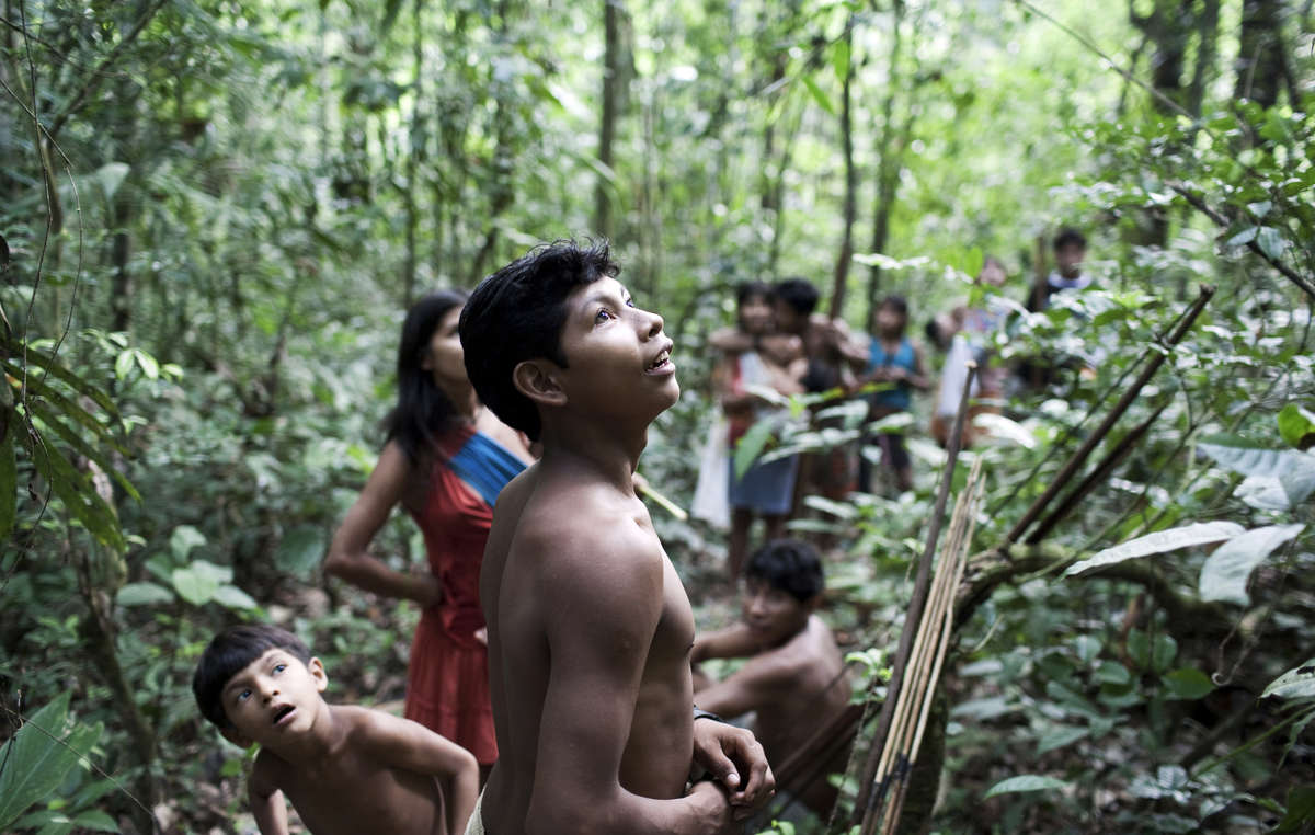 More than 30,000 people have urged Brazil’s Justice Minister to save Earth’...