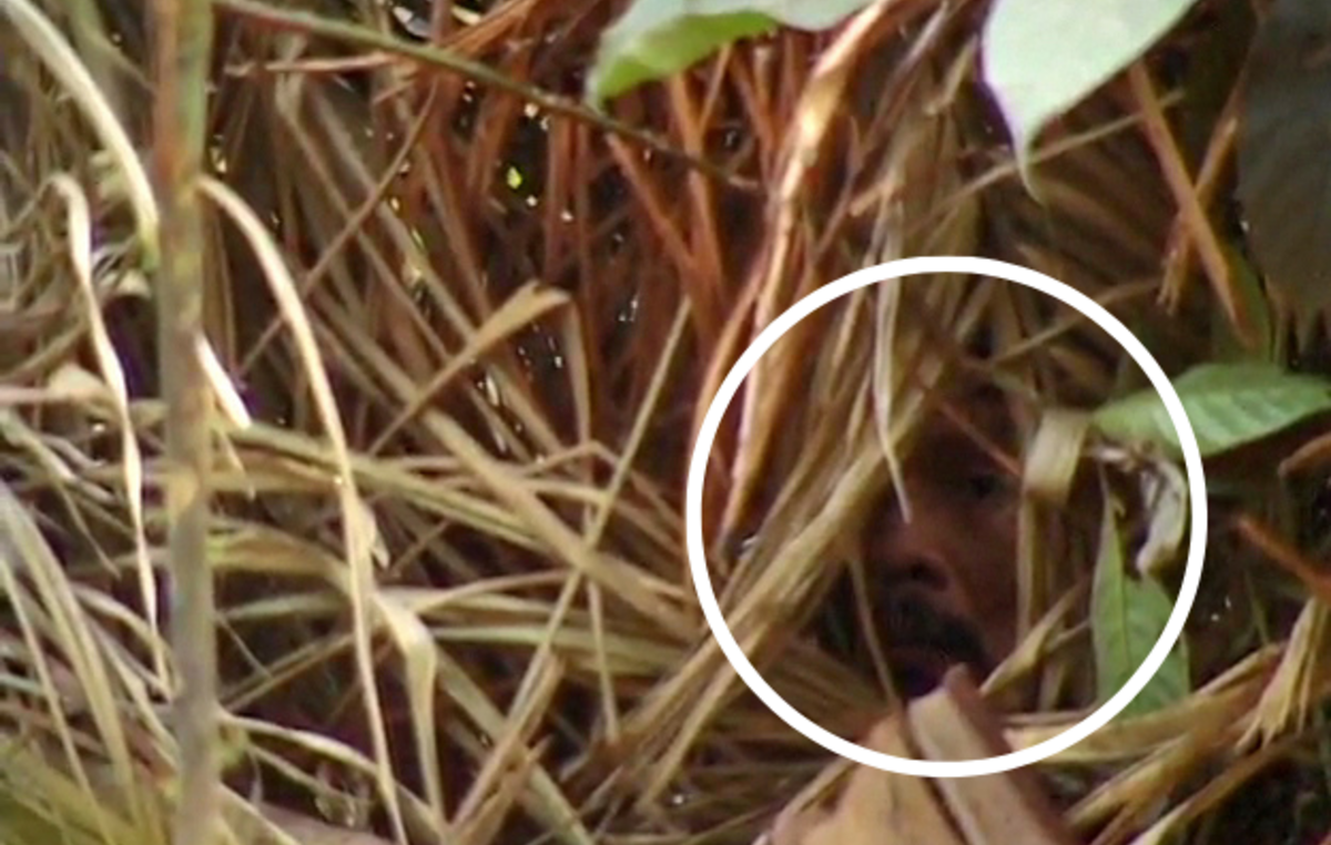 Dans cette image tirée du film "Corumbiara" du cinéaste Vincent Carelli, "L'homme du trou" observe depuis sa cabane.