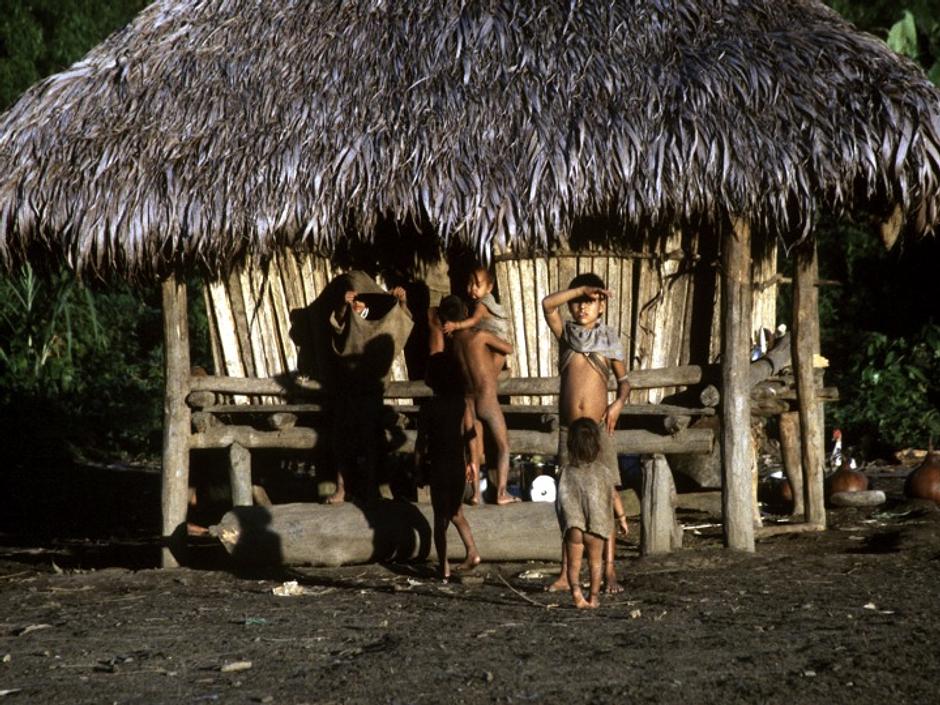 La legge internazionale riconosce la terra degli Indiani del Perù come loro, così come riconosce il loro diritto a vivere su di essa come vogliono.

Questa legge non viene rispettata dal governo peruviano, né dalle aziende che stanno invadendo la riserva Nahua-Nanti.

_I nuovi progetti costituiscono una chiara violazione di un Decreto Supremo del 2003 che vieta qualsiasi nuovo sviluppo delle risorse naturali all'interno della Riserva Nahua-Nanti_ afferma Stephen Corry.
