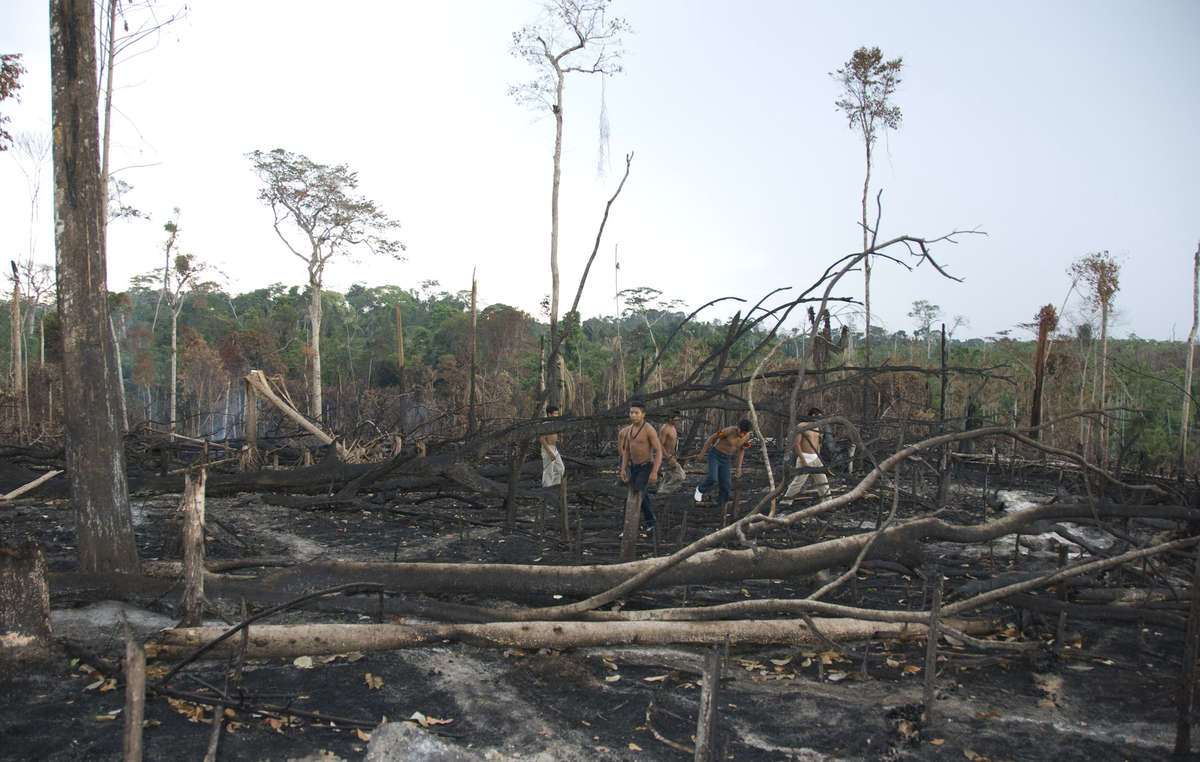 Índios Awá caminham em meio aos resquícios das queimadas na sua floresta.