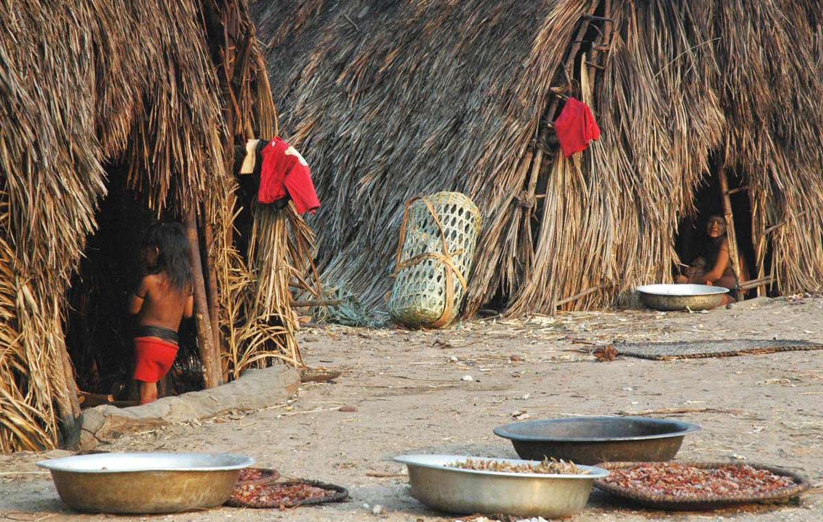 A couple of 'malocas' (communal houses) in the Enawene Nawe village.