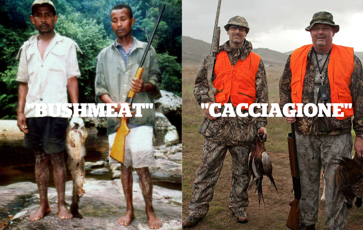 Qual è la differenza tra “bushmeat” e “cacciagione”?