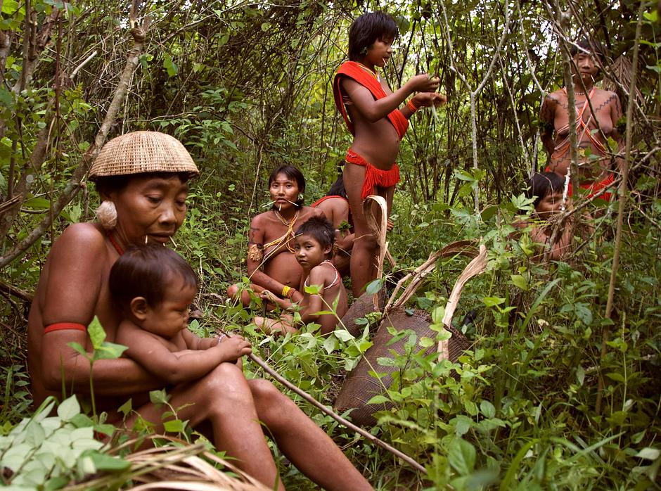 In recent years there have been disturbing reports that Yanomami teenagers and young women have been victims of sexual abuse by soldiers of the Brazilian Army.  Having been lured by gifts of food and alcohol, sexual abuse has resulted in unwanted pregnancies and sexually transmitted diseases such as gonorrhea and syphilis.

_When the Army arrived, they started to tease the Indians_, says Davi Kopenawa. _They asked the women to sleep with them and gave them food of rice and flour.  They used our Indians.  Now they are sick.  The soldiers have transmitted diseases; the women are sick with gonorrhea and syphilis_. 