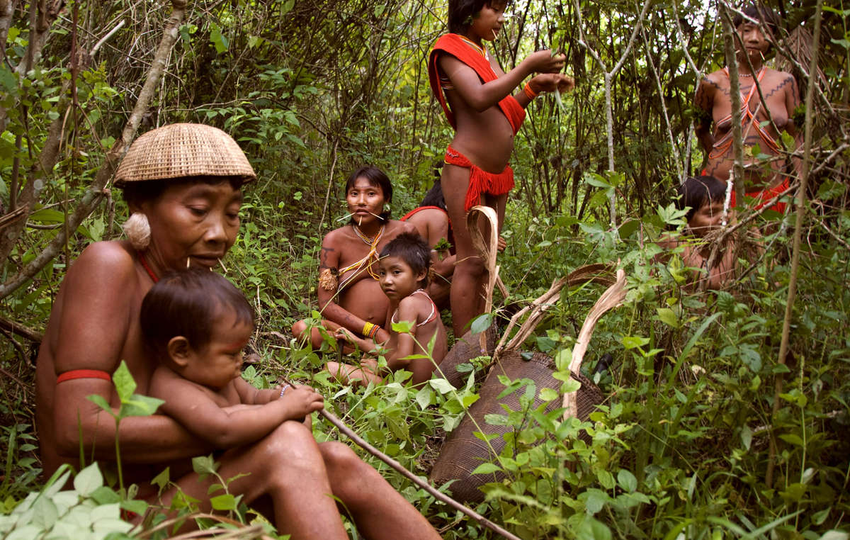 Mujeres y niños yanomamis descansan en un huerto en la selva, Brasil. Los yanomamis cultivan unos 60 tipos de plantas, lo que supone el 80% de su alimentación.