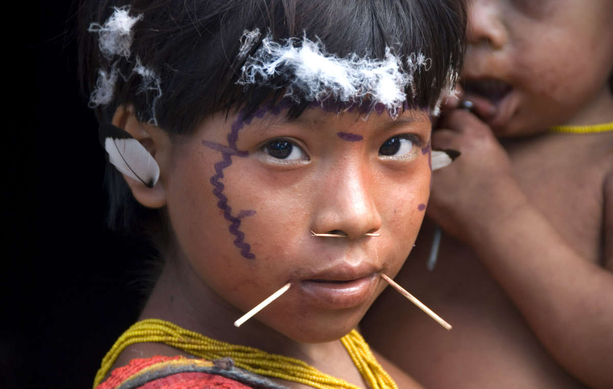 The Yanomami are the largest relatively isolated indigenous people in the Amazon.