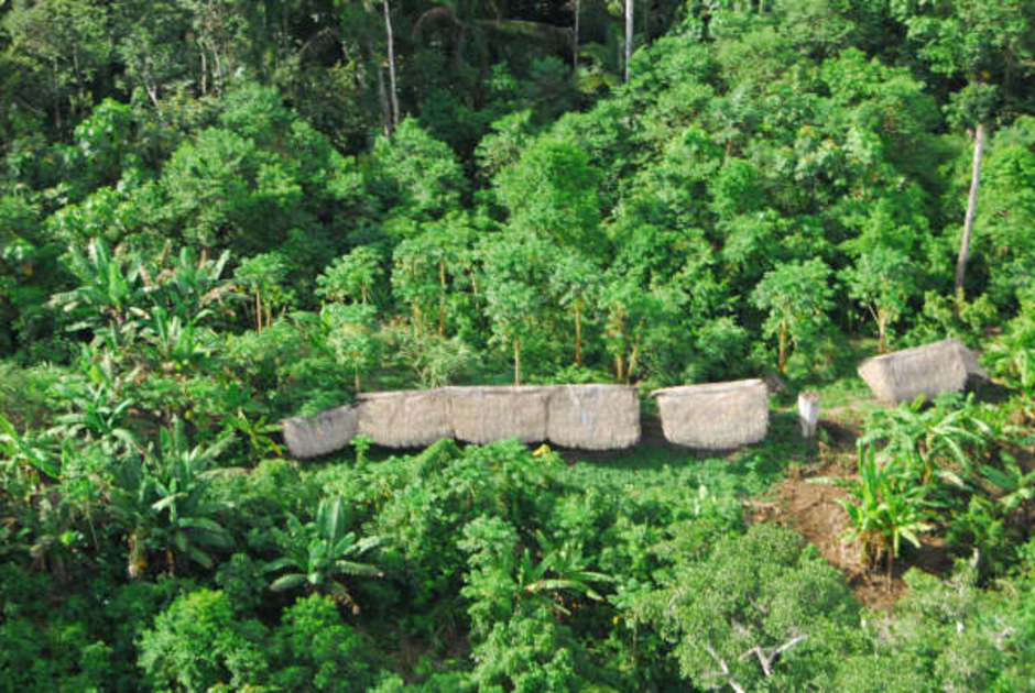 There are at least 100 uncontacted tribal peoples living in the 21st century.  

Brazil’s Amazon is home to more uncontacted tribes than anywhere else in the world. According to FUNAI, Brazil's Indian affairs department, there are at least 77 isolated groups in the rainforest.

They are the most vulnerable of all human societies on Earth.  Following contact, violence and disease can quickly kill entire populations; all uncontacted tribes face catastrophe unless their land is protected.

Survival International is playing the leading role in securing their lands for them.