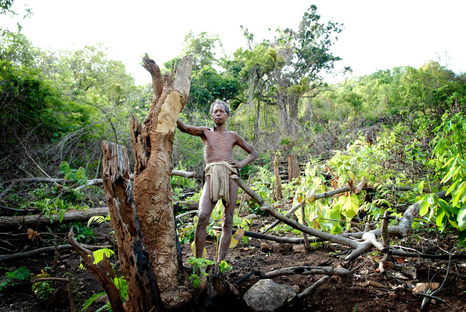 Kolu, de la tribu des Dongria Kondh, sur les basses pentes boisées des collines de Niyamgiri en Odisha du sud, Inde. 

Les Dongria Kondh s’autodénomment Jharnia, ce qui signifie ‘protecteurs des torrents’, en référence au fait qu’ils sont depuis longtemps les gardiens des montagnes qui s’élèvent dans les forêts épaisses de l’Orissa et de leurs rivières nourricières.

Les Dongria Kondh se sont récemment opposés au géant minier Vedanta Resources qui a l’intention d’exploiter une mine à ciel ouvert sur leur territoire. La mine détruira la montagne sacrée de la tribu et avec elle, leur mode de vie et leur identité en tant que peuple. 

_Nous ne voulons pas partir. Nos ancêtres ont vécu ici depuis des générations. Je ne sais pas ce qu’il adviendra quand je serai mort, mais tant que je serai en vie, Vedanta ne pénétrera pas dans ce village_, a déclaré un Dongria Kondh. 