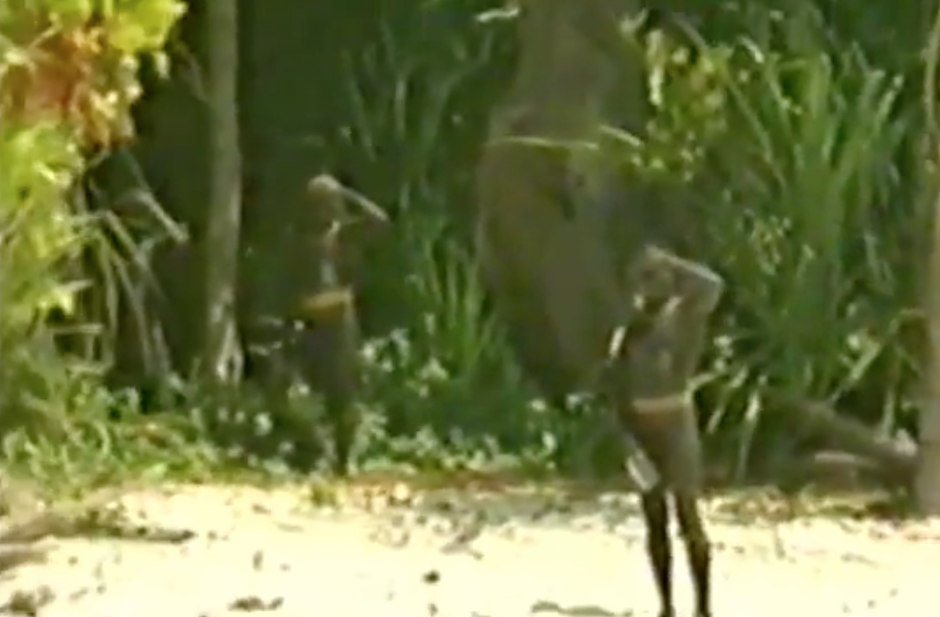 Sentinelese Labeled Sentinelese
