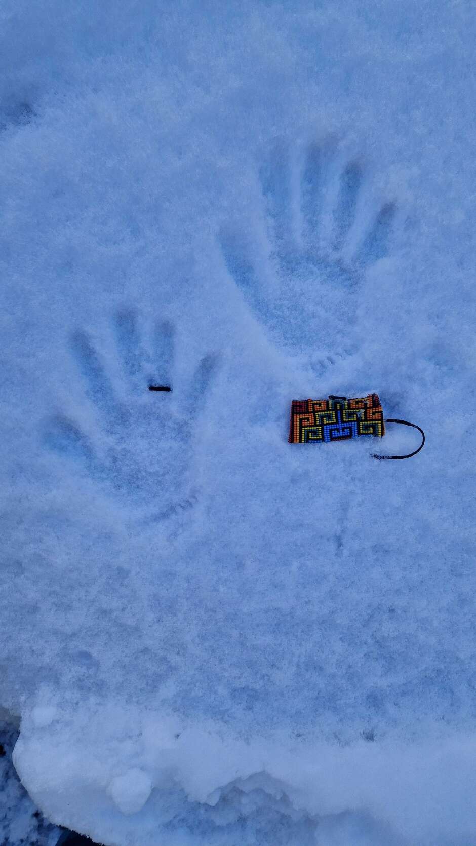 Hands in the snow for Act for Survival 