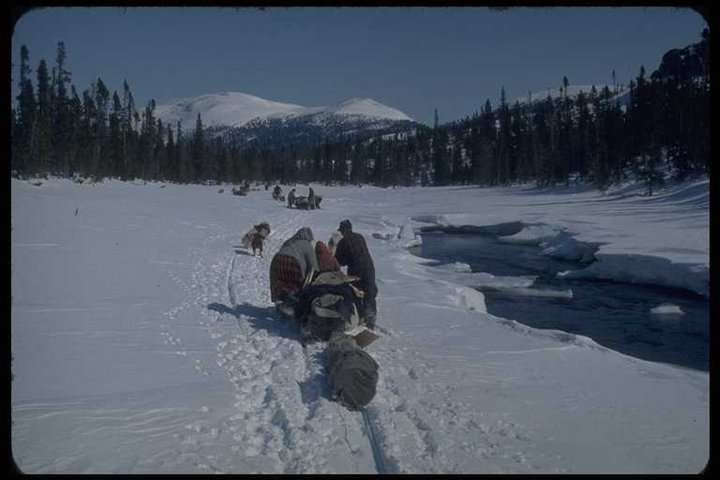 Ein Mann und eine Frau des Innu-Volkes schieben einen voll beladenen Schlitten entlang eines zugefrorenen Flusses im Nordosten Kanadas.

Auf dem Bild kann man sehen, wie das Leben der indigenen Innu, die vor 50 Jahren noch als halbnomadische Jäger und Sammler lebten, früher aussah. 

Während des subarktischen Winters wanderten sie mit Schneeschuhen durch das weite Inland, um Karibu-Rentiere zu jagen. In den Sommermonaten, wenn der Schnee schmolz, reisten sie auf selbstgebauten Kanus aus Birkenrinde zur atlantischen Küste. Sie waren größtenteils stark, gesund und unabhängig.

Heute sind sie sesshaft und leiden unter chronischen psychischen und körperlichen Problemen, einschließlich einer Diabetes-Epidemie - einer westlichen Krankheit, die sie heimsuchte, nachdem sie gezwungen wurden, sich in festen Gemeinden niederzulassen.